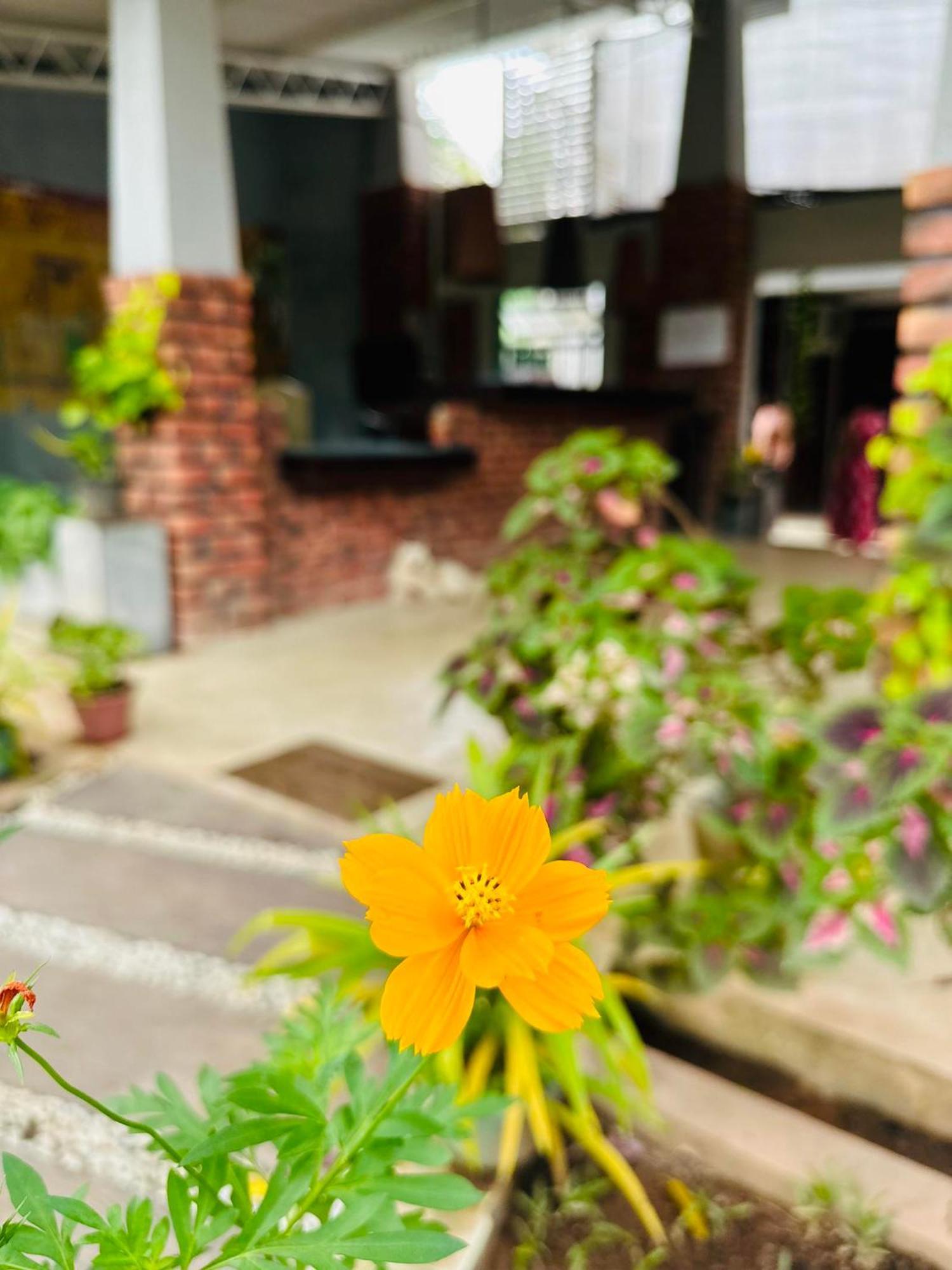 Katunayaka Lanka Bangla Inn Villas Restaurant & Travels מראה חיצוני תמונה